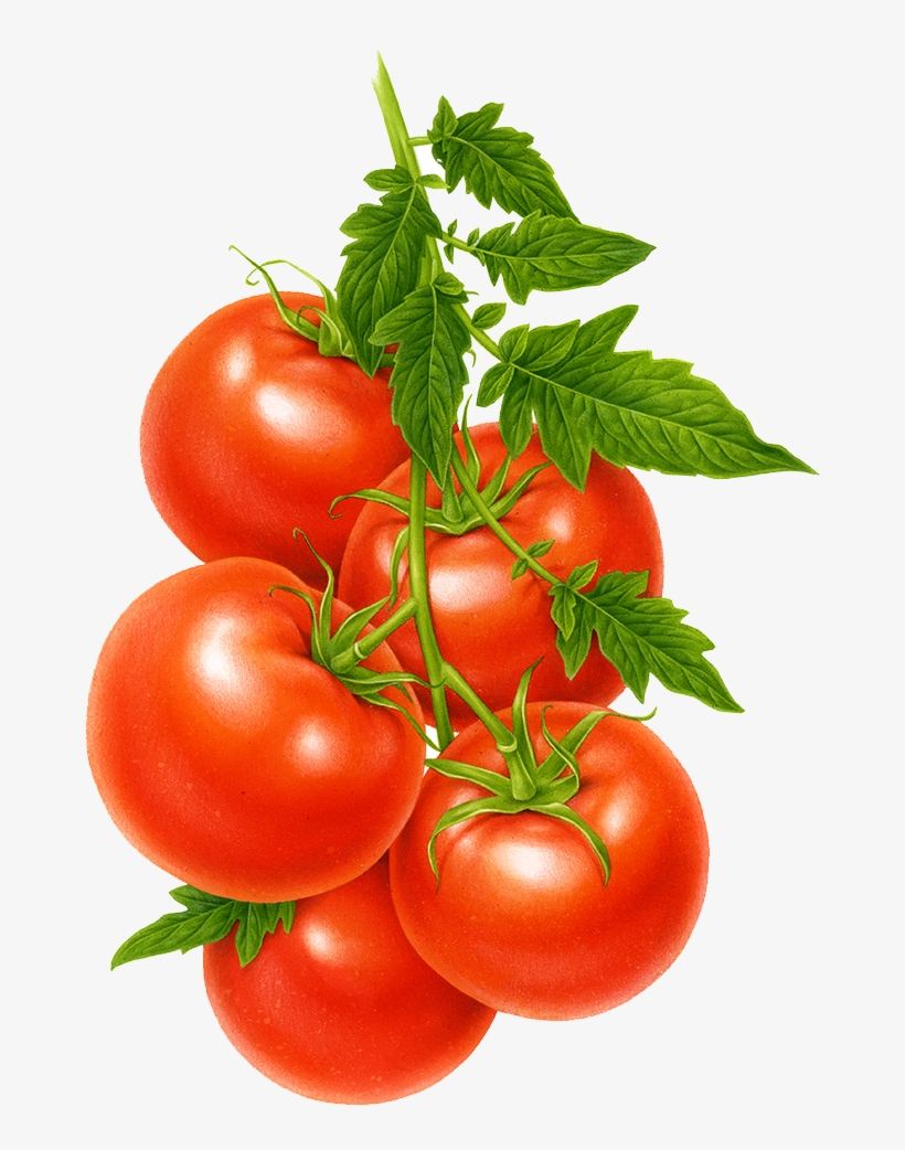 Cherry Tomato A Fruit Or Vegetable, transparent png