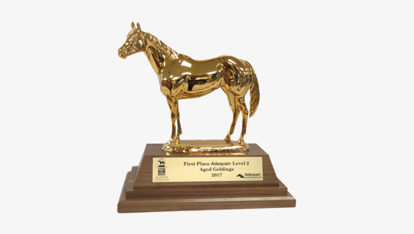 Aqha Level 2 Champion Duplicate Trophy - Sorrel, transparent png