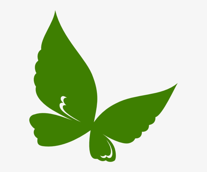 Butterfly Png, transparent png