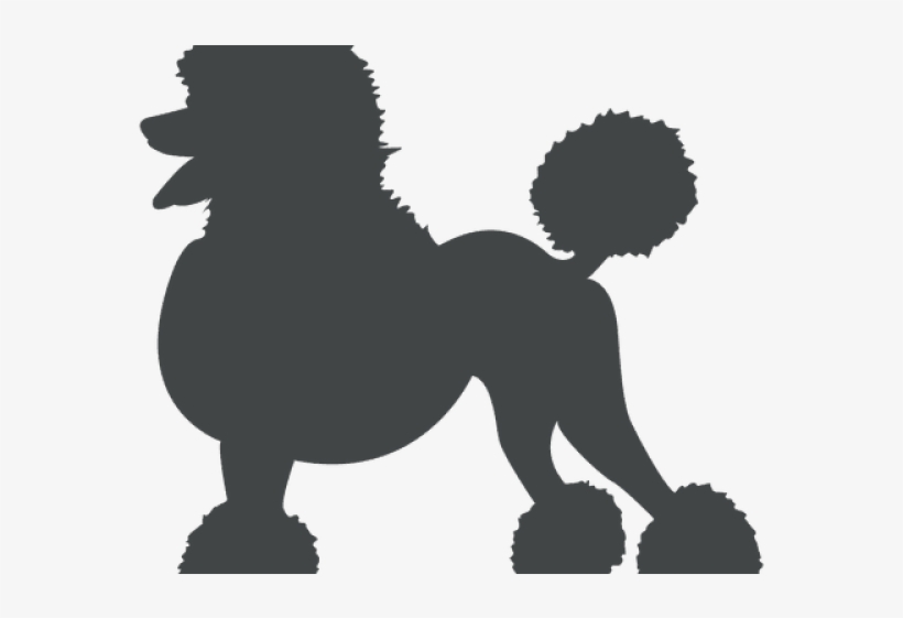 Poodle Clipart Svg - Dibujo Poodle Png, transparent png