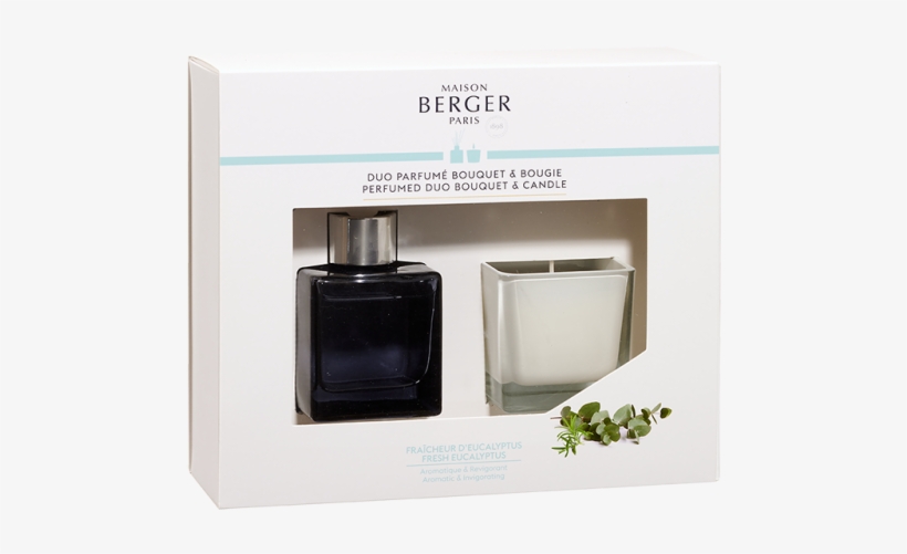 Fresh Eucalyptus Mini Cube Scented Bouquet & Mini Scented - Maison Berger Paris Dárková Sada Duo Mini Aroma Difuzér, transparent png