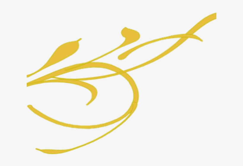 Gold Flower Line Png, transparent png