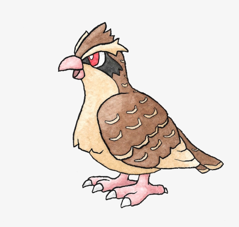 The New 151 - Illustration, transparent png