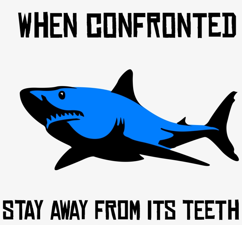 Shark Attack Watch Out - Great White Shark, transparent png