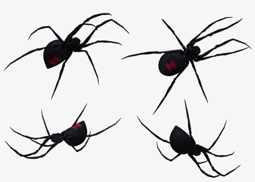 Mosquito Formiga Vi Va - Southern Black Widow, transparent png