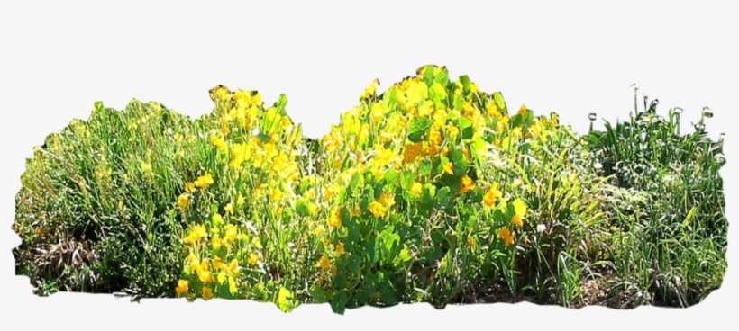 900 X 450 9 - Border Garden Png, transparent png