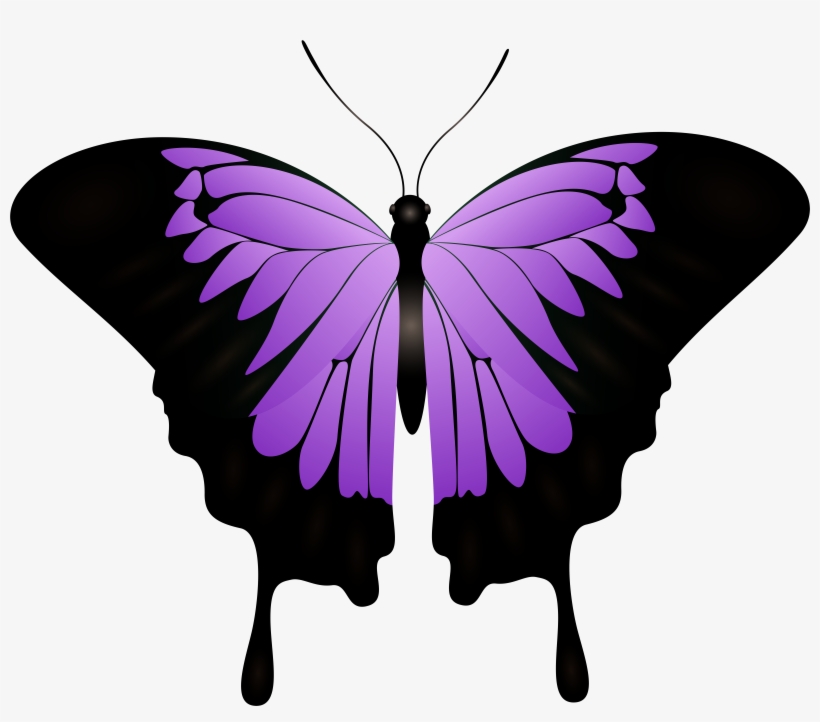 Purple Butterfly Decorative Transparent Image, transparent png