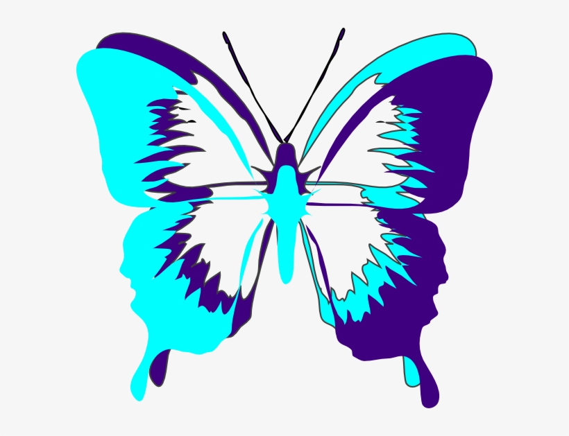 Butterfly Drawing Images Download, transparent png