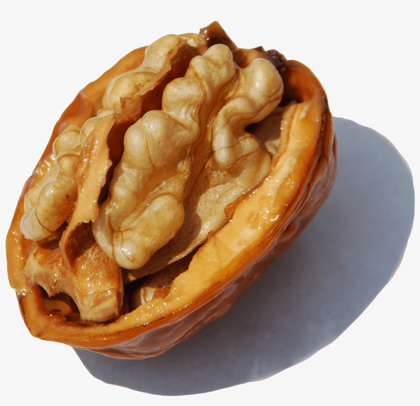 Cerneaux De Noix - Walnut, transparent png