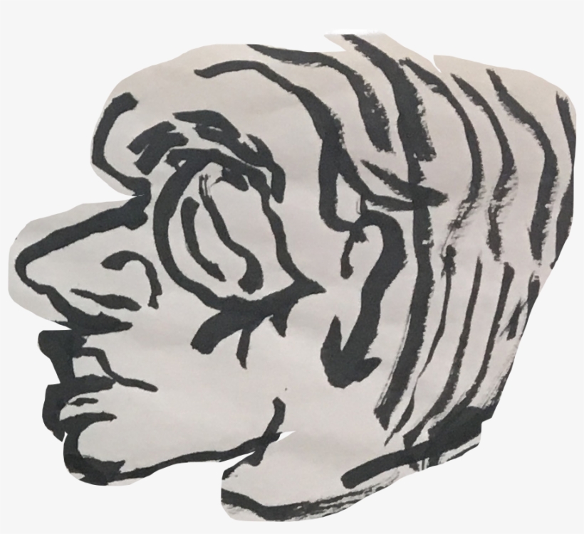 Tiger, transparent png