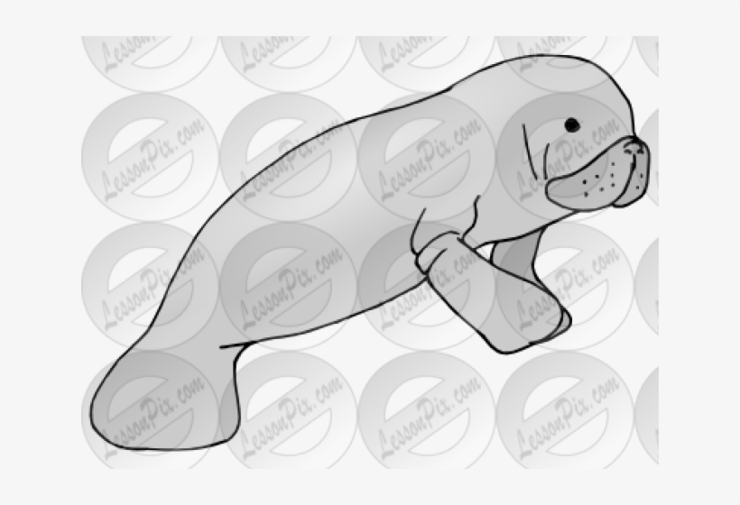 Cartoon, transparent png