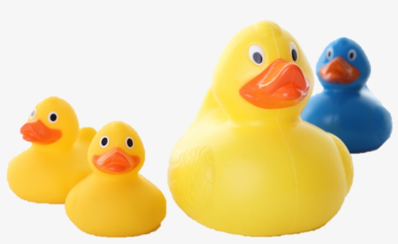 Monty Ducks - Bath Toy, transparent png