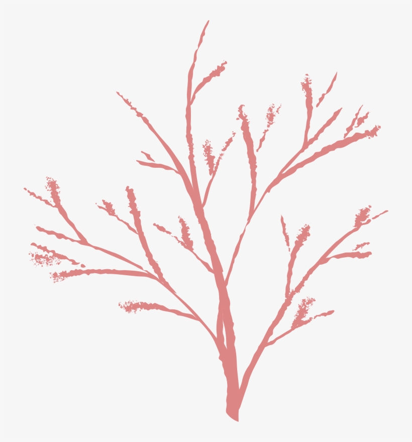 Free Tree - กิ่ง ไม้ Png, transparent png