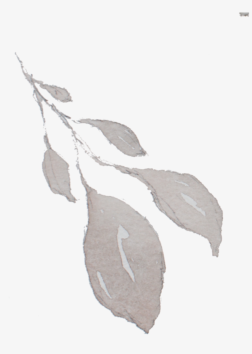 Sketch, transparent png