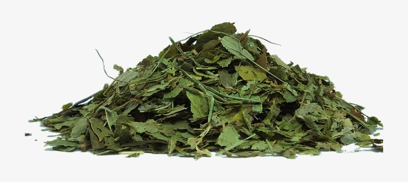 Herbs Png - Tea Leaves Transparent Background, transparent png