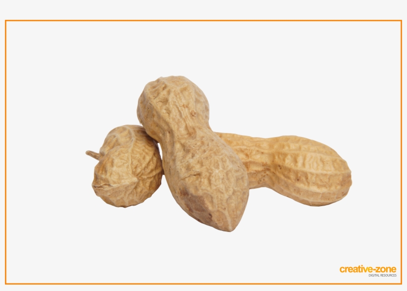 Peanuts, Arachis In Shell - Peanut, transparent png