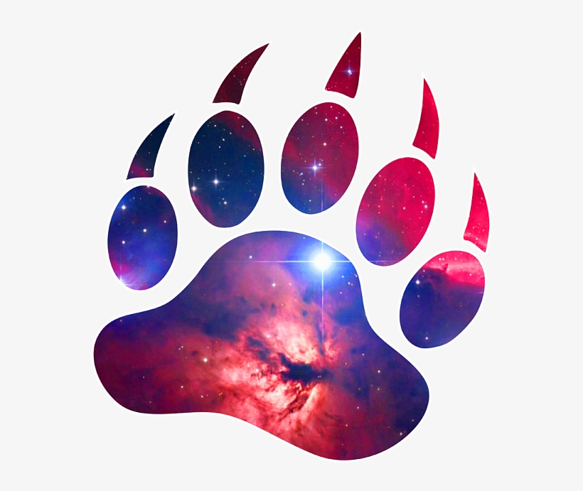 Bleed Area May Not Be Visible - Clip Art Grizzly Paw, transparent png