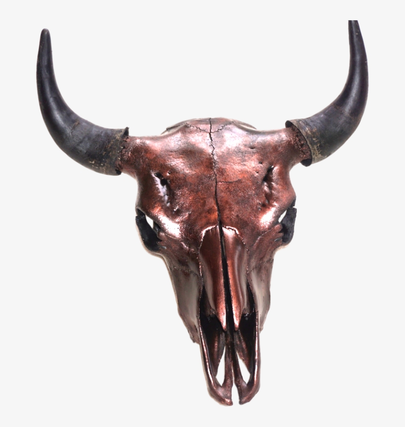 Bison Skull Png, transparent png