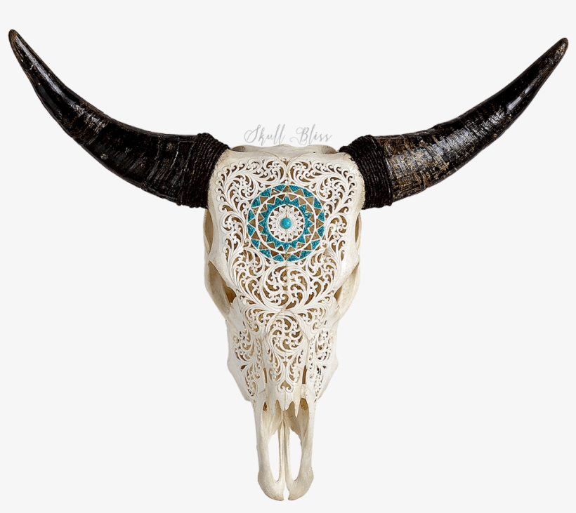Cow Skull Transparent, transparent png