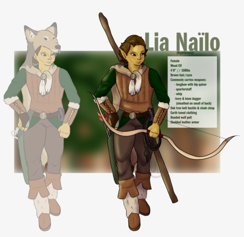 935 X 855 4 - D&d Wolf Cloak, transparent png