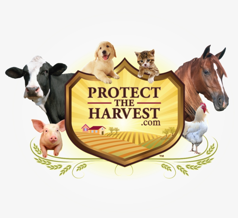 Leave A Reply - Protect The Harvest Logo, transparent png