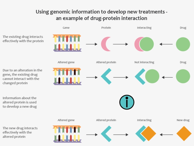 Using Genomics To Identify Causes Of Drug Resistance - Diagram, transparent png