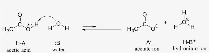 1508 X 338 2 - Methylamine And Sulfuric Acid, transparent png