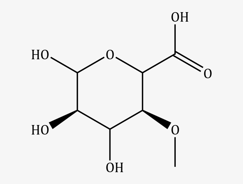 4 O Methyl Β D Glucuronic Acid Compound Image - Diagram, transparent png