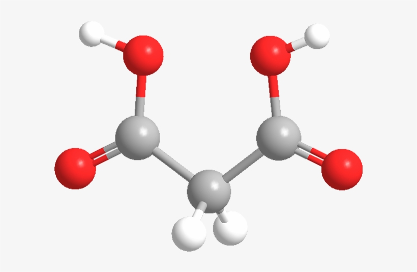 Malonic Acid - Illustration, transparent png