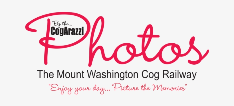 Cogarazzi Web Logo Final - Washington State Department Of Enterprise Services, transparent png