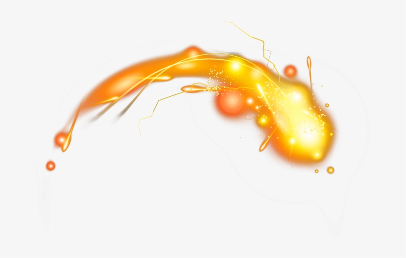 Macro Photography, transparent png