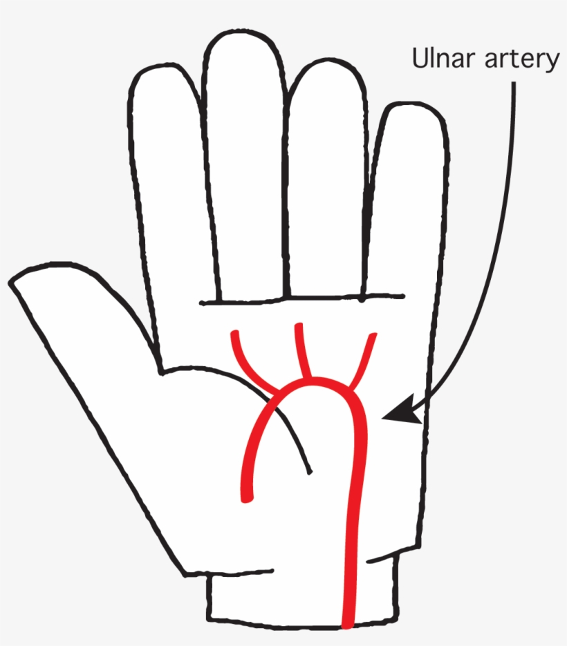 Hand, transparent png