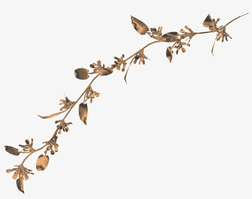 Twig, transparent png