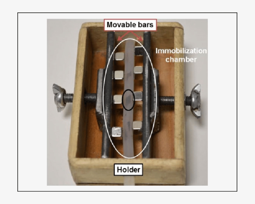 Picture Of The Immobilization Chamber - Plywood, transparent png