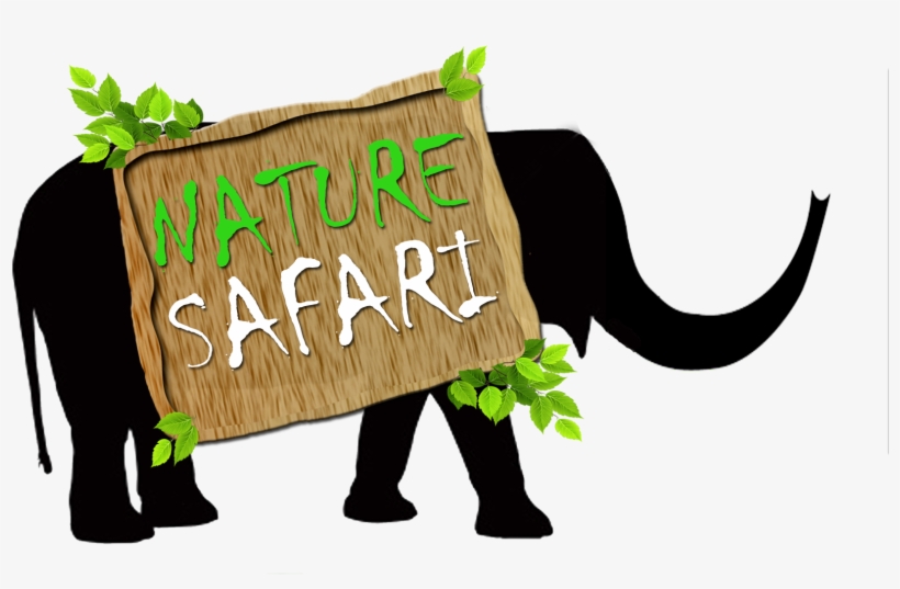 Offered By - Illustration, transparent png