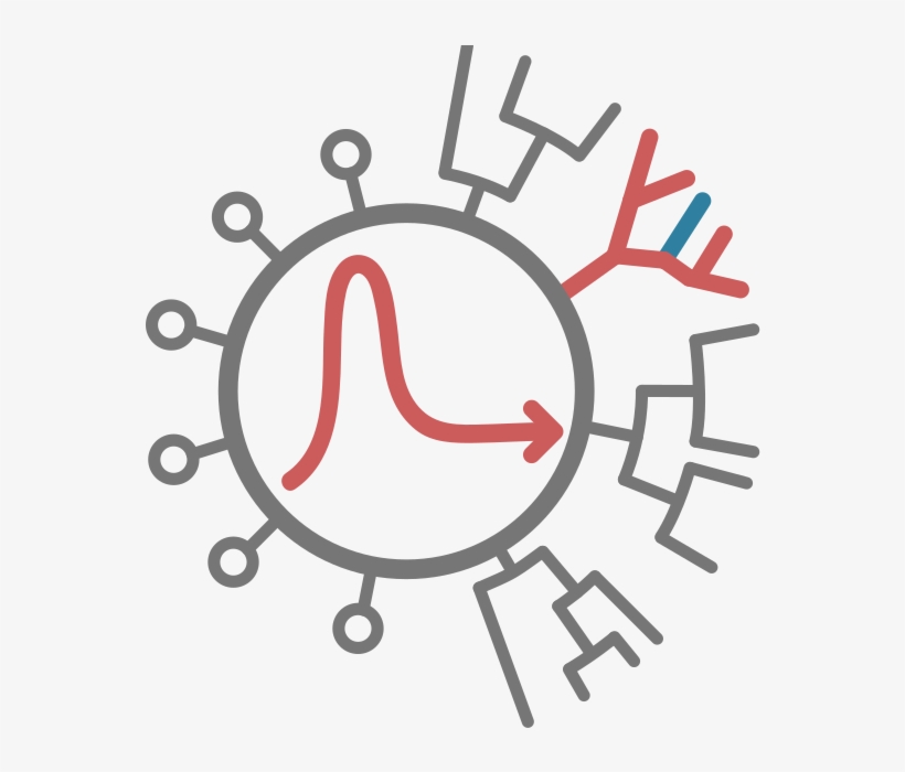 Hiv Evolution - Circle, transparent png