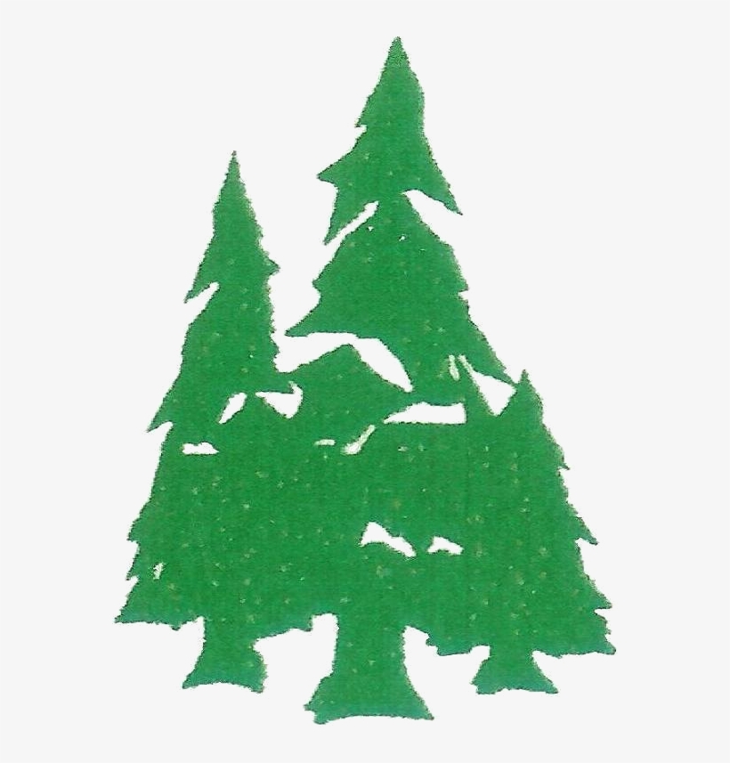 Evergreen Png - Christmas Tree, transparent png
