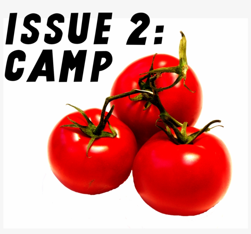 Camp, transparent png