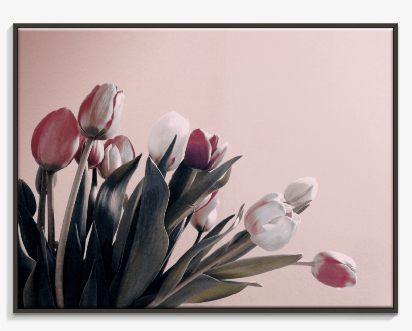 119al Ffb Vintage Tulips - Achter Elke Traan Van Verdriet Zit Een Glimlach Van, transparent png