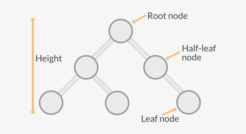Binary Tree Definitions - Piercing En La Punta, transparent png