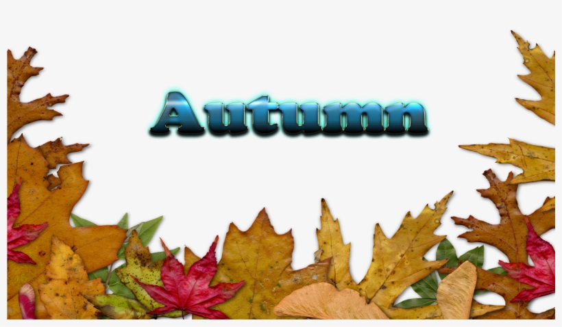 Autumn Leaves Free Download Png - Fall Leaves Transparent Background Border, transparent png