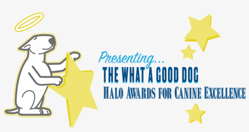 Halo Awards Logo - Antara Cinta Dan Tugas Abdi Negara, transparent png