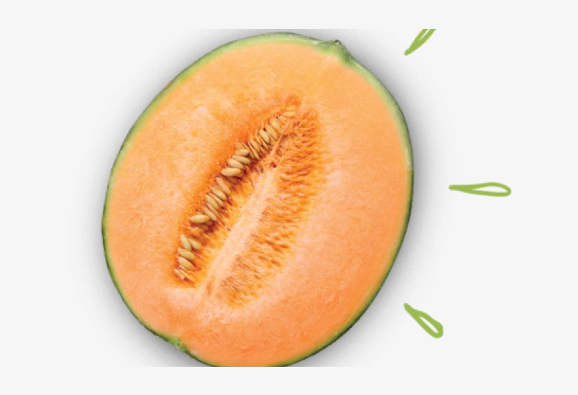 Honeydew, transparent png