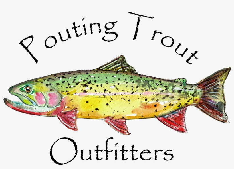Trout, transparent png