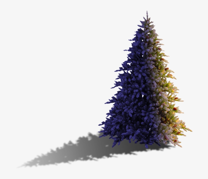 Christmas-tree - Christmas Tree, transparent png