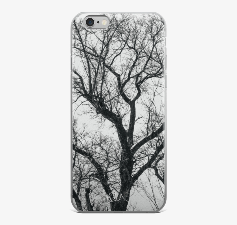 Made - Birch, transparent png