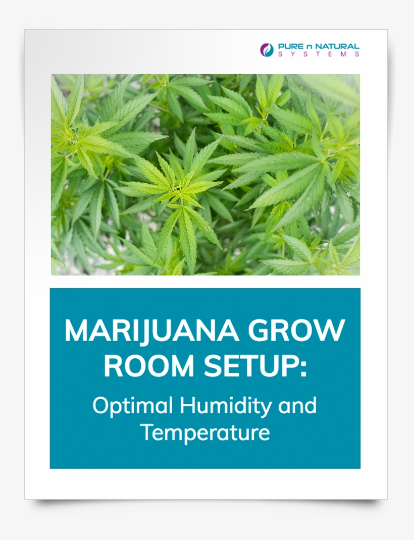 Grow Room Setup-download Cover - Herbal, transparent png