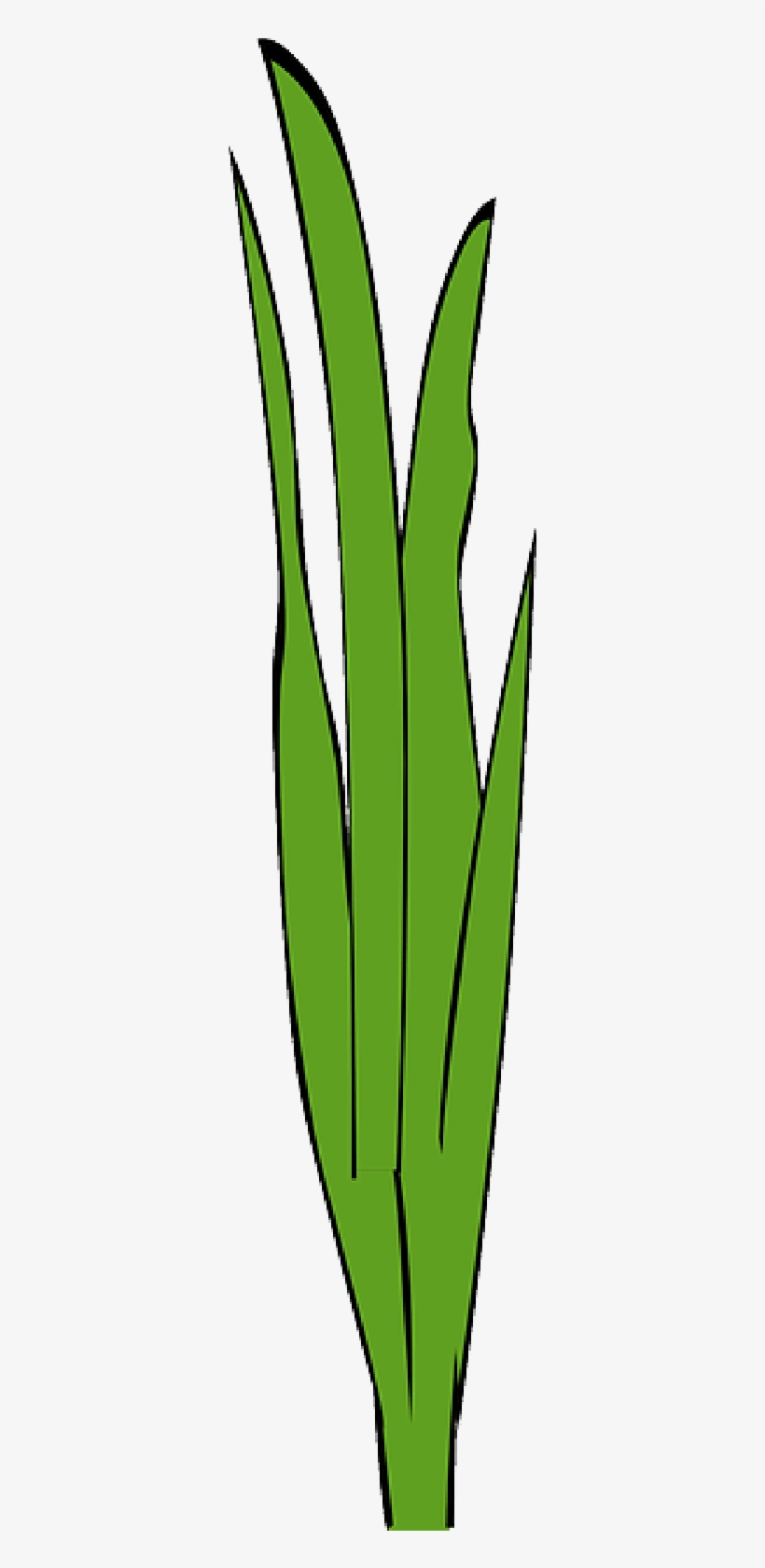 Marijuana Plant Transparent Background - Erva Daninha Png, transparent png