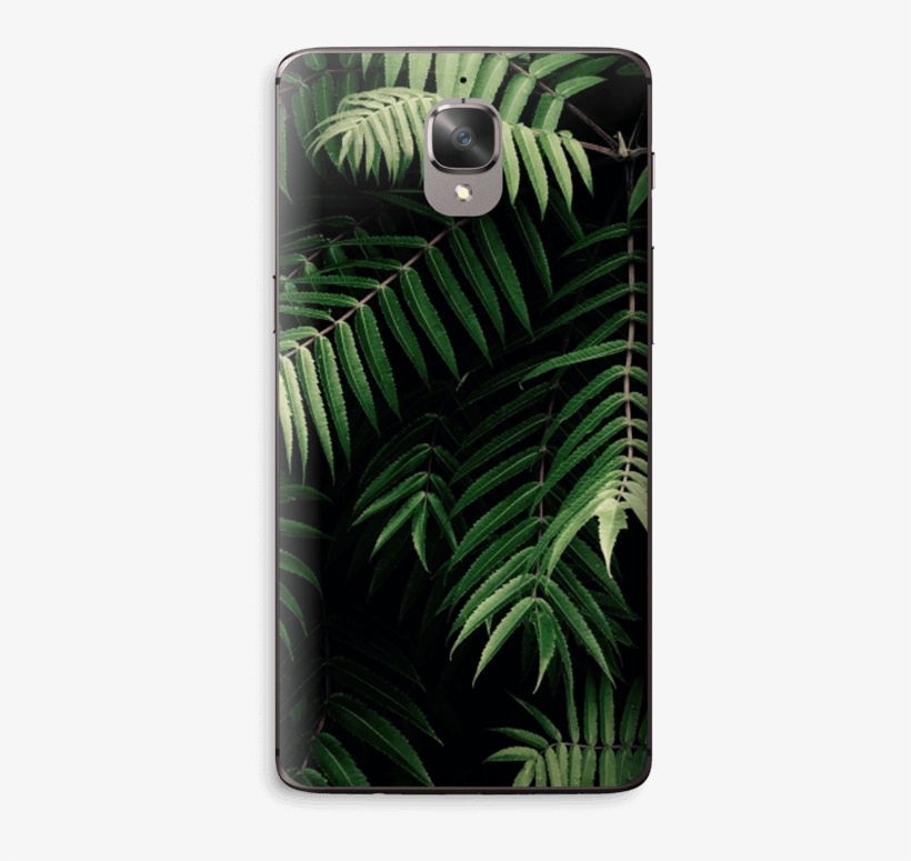 Tropics Skin Oneplus - Macbook, transparent png