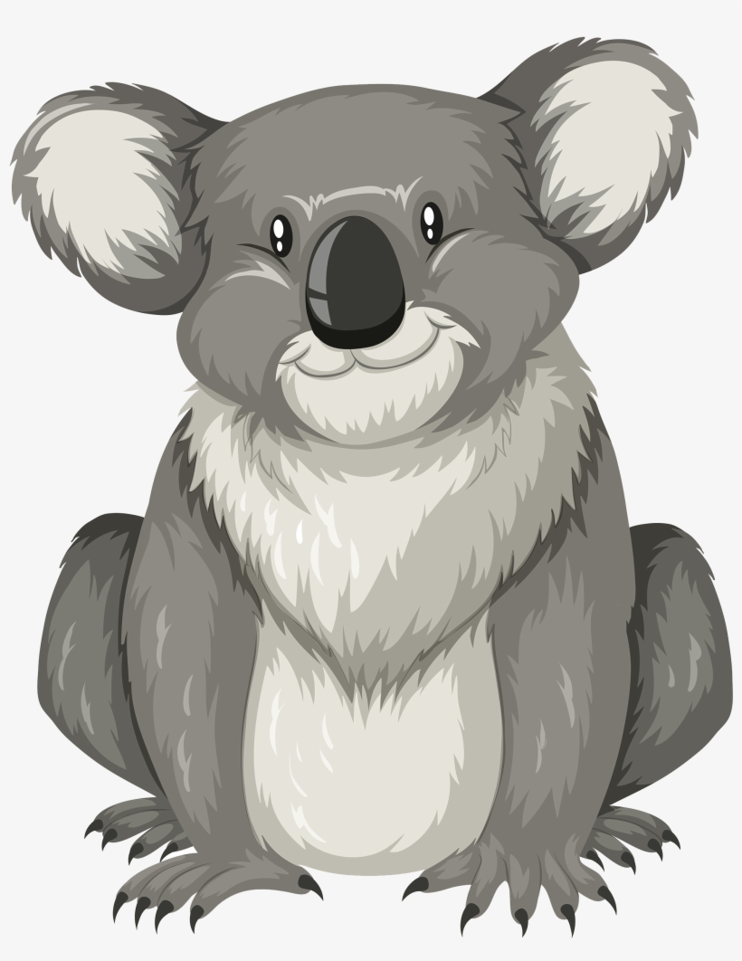 2000 X 2418 5 - Koala Flashcard, transparent png